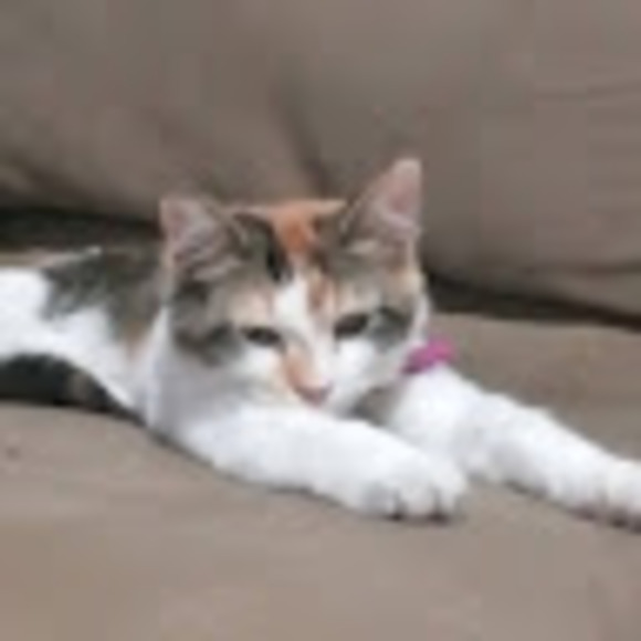 Meet the Posher Other - Meet your Posher, Judy